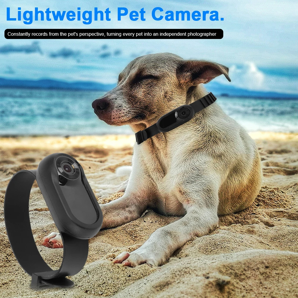 SIGOR Pet Collar Monitor HD 1080p Mini Sports Camera