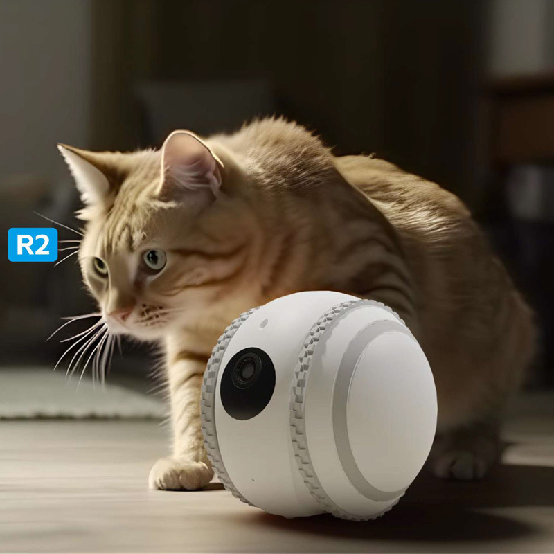 SIGOR Intelligent AI Robot Pet Mini Monitoring Camera