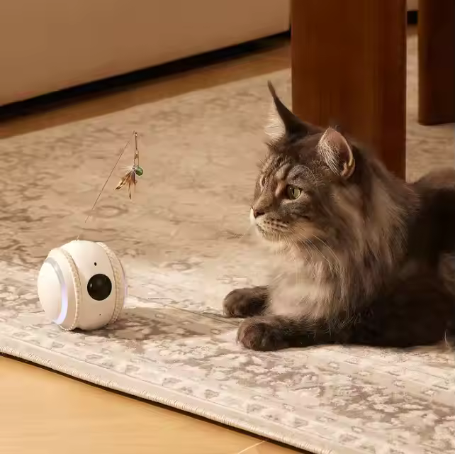 SIGOR Intelligent AI Robot Pet Mini Monitoring Camera