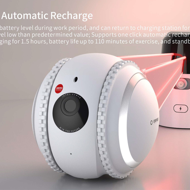 SIGOR Intelligent AI Robot Pet Mini Monitoring Camera