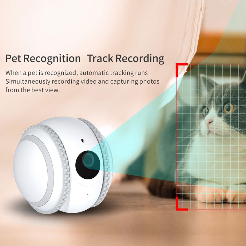 SIGOR Intelligent AI Robot Pet Mini Monitoring Camera