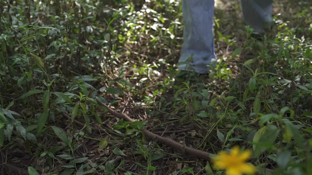 SIGOR 2025 High speed mini turbo cooling fan, summer outdoor