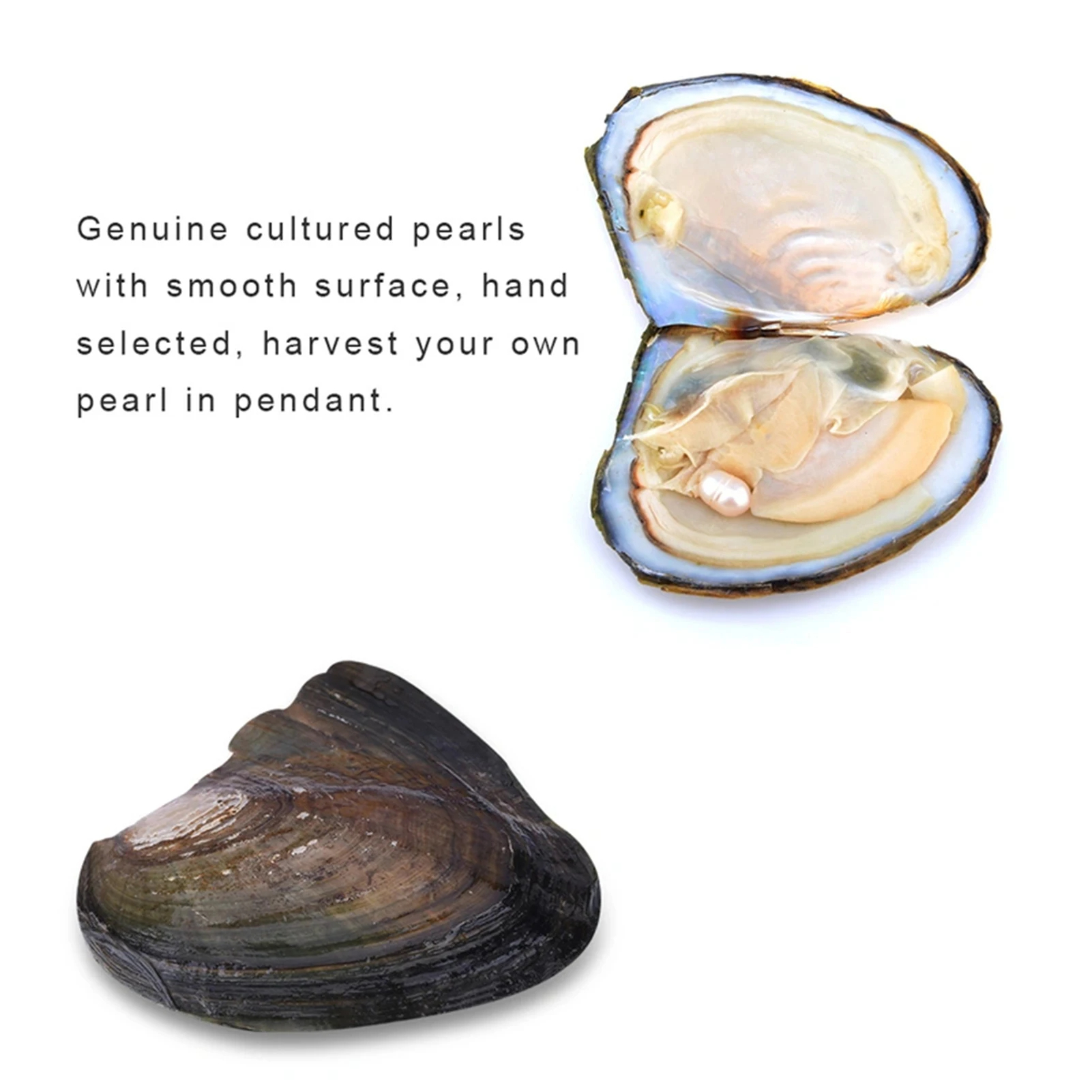 SIGOR DIY Pearl Wish Necklace Blind Box