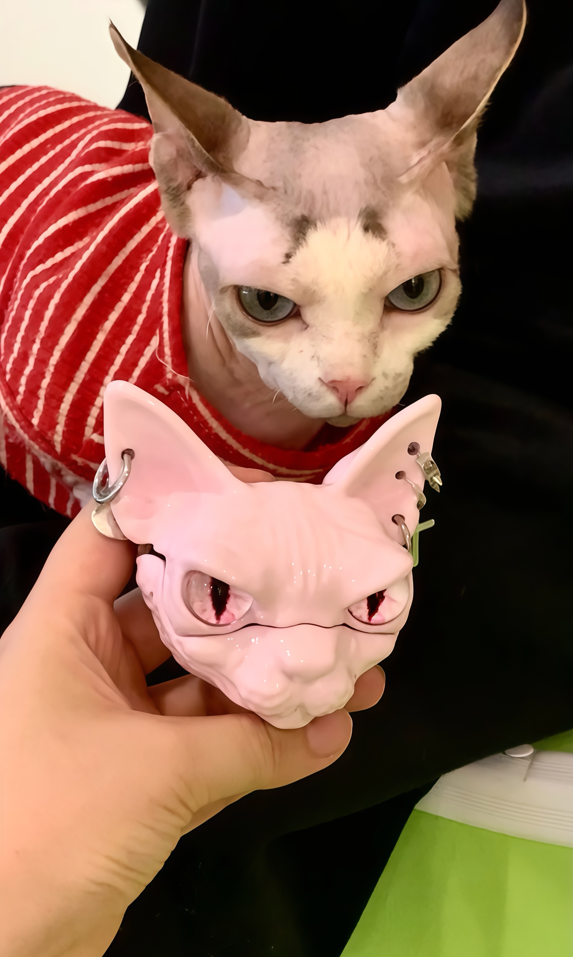 SIGOR Sphynx Cat AirPods Case