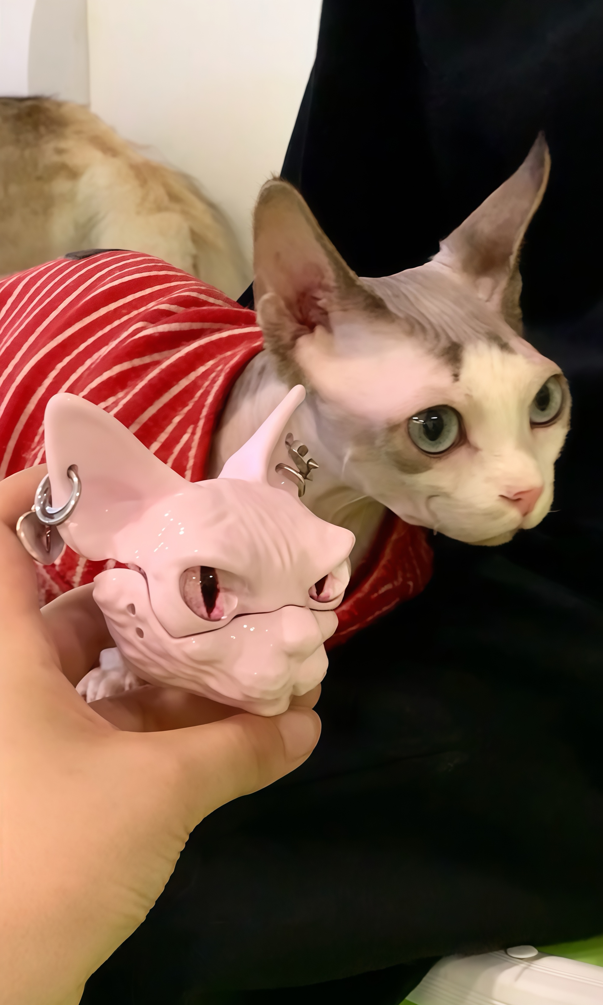 SIGOR Sphynx Cat AirPods Case