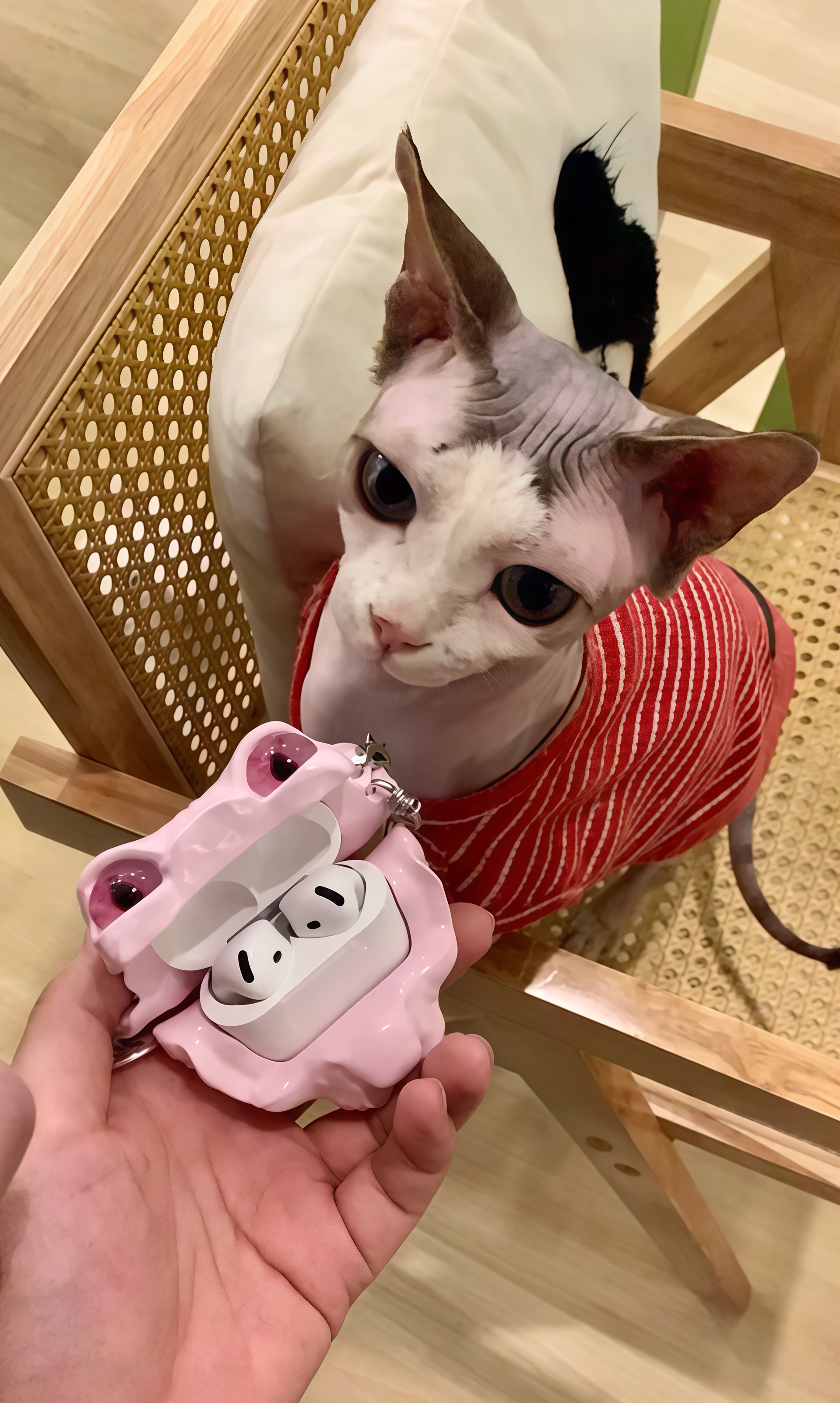 SIGOR Sphynx Cat AirPods Case
