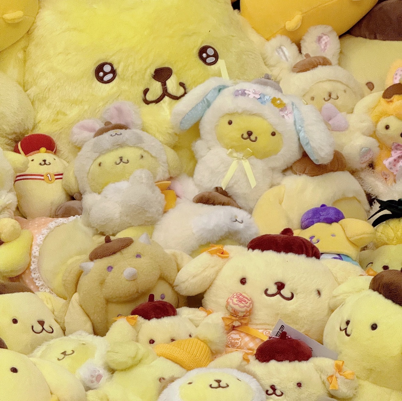 SIGOR LIMITED POMPOMPURIN Mystery Gift Blind Bag Lucky Bag
