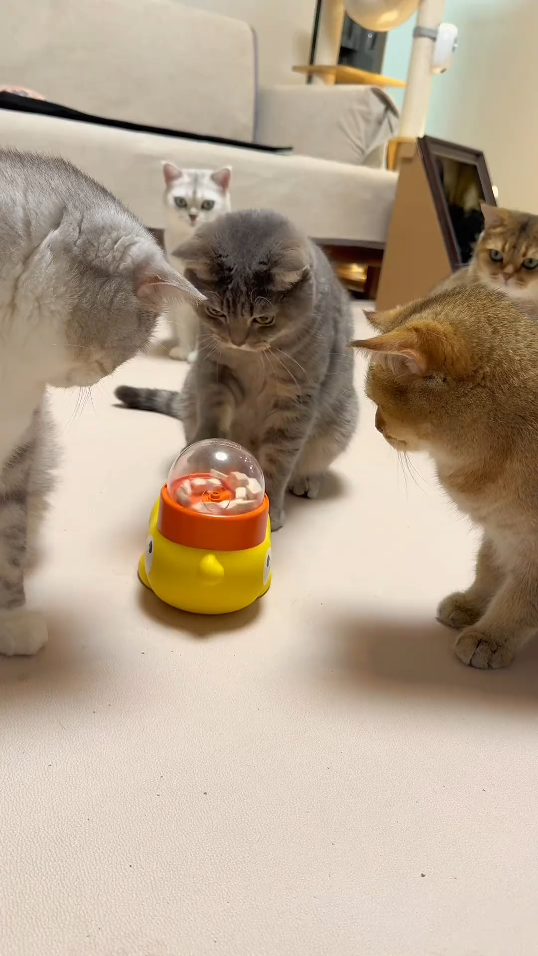 SIGOR Hands-On Duck Pet Toy Feeder Dog Cat Intelligence Exercise Interactive Toy